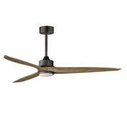 Woodwind-Indoor Ceiling Fan light