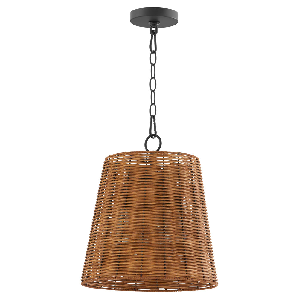 Quorum Lighting 8893-13-59 Pendant - Matte Black