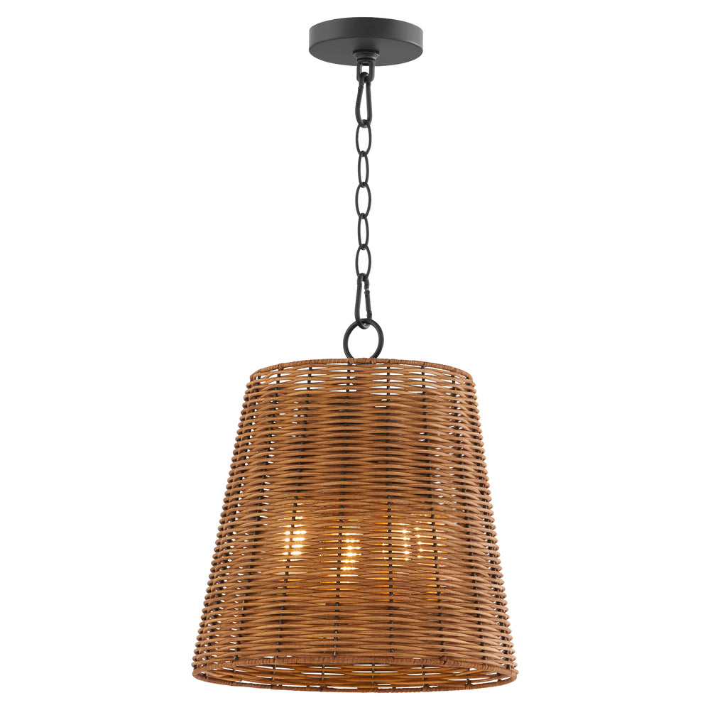 Quorum Lighting 8893-13-59 Pendant - Matte Black