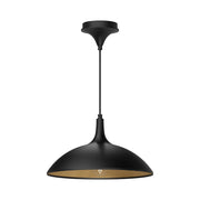 Abel 14-in Matte Black 1 Light Pendant