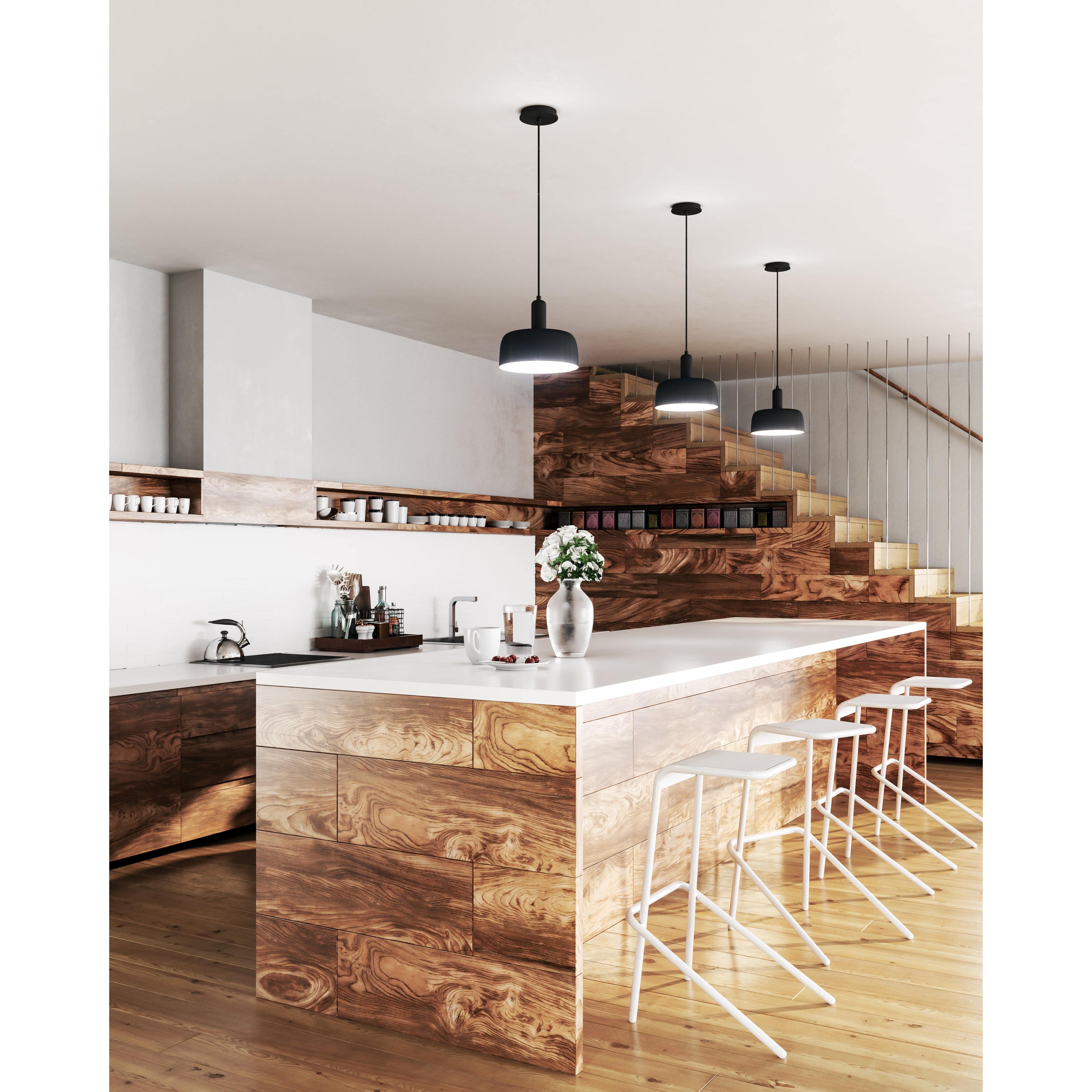 Adriano 10-in Matte Black 1 Light Pendant