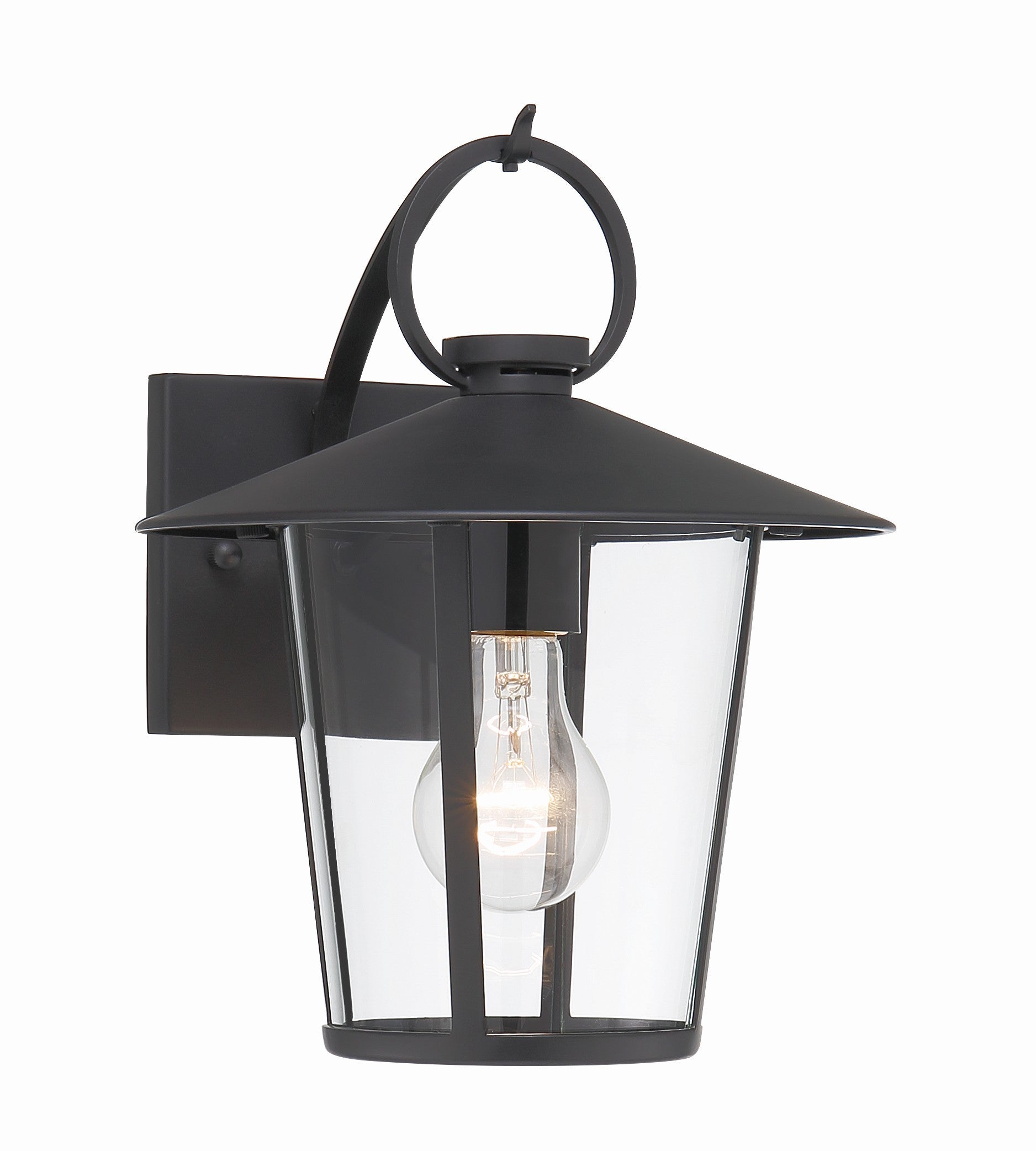 Crystorama Andover AND-9201-CL-MK – 9 Inch – 1 Light – Outdoor – Matte Black – Wet Rated