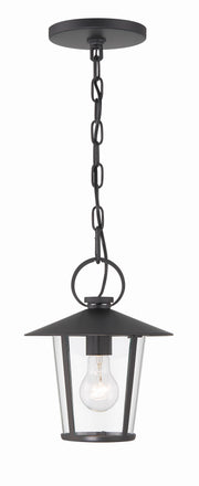 Crystorama Andover AND-9203-CL-MK – 9 Inch – 1 Light – Outdoor – Matte Black – Wet Rated