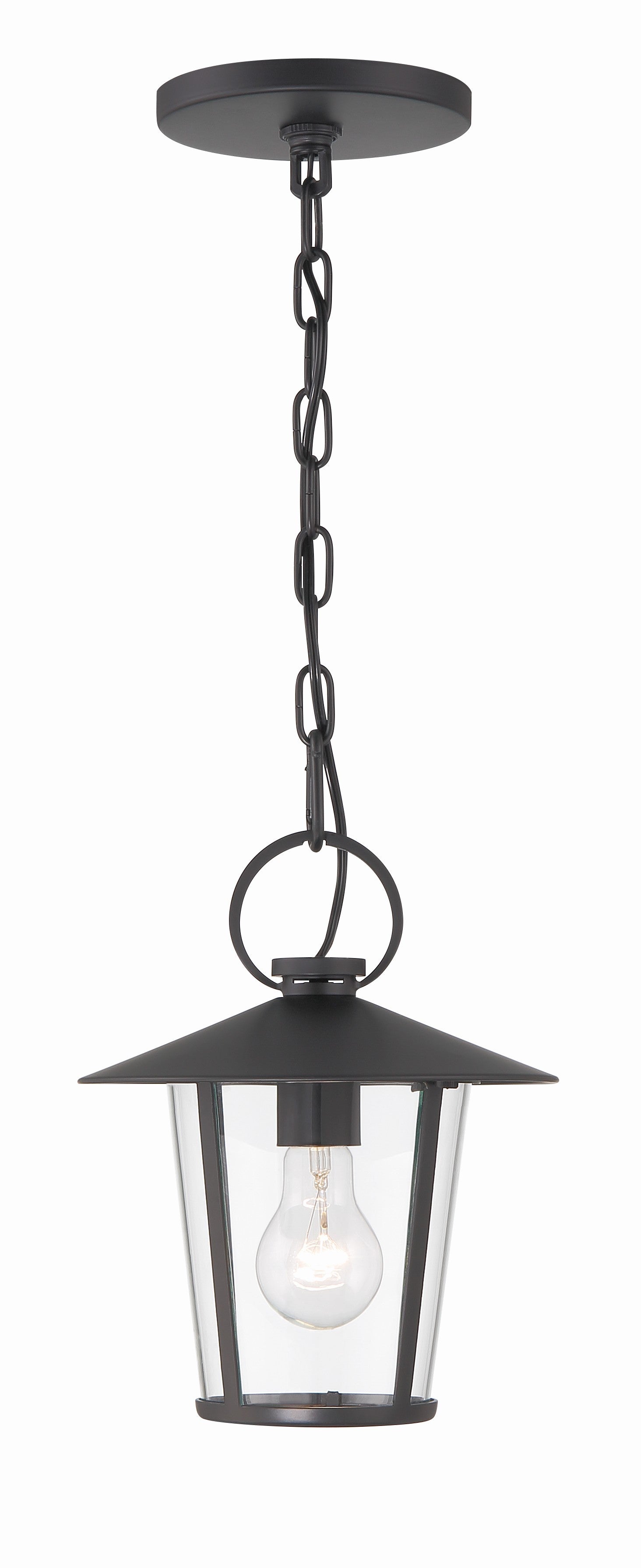 Crystorama Andover AND-9203-CL-MK – 9 Inch – 1 Light – Outdoor – Matte Black – Wet Rated