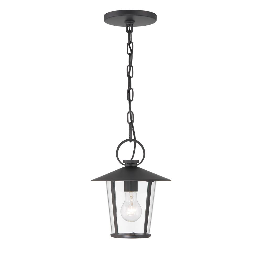 Andover 1 Light Matte Black Outdoor Pendant