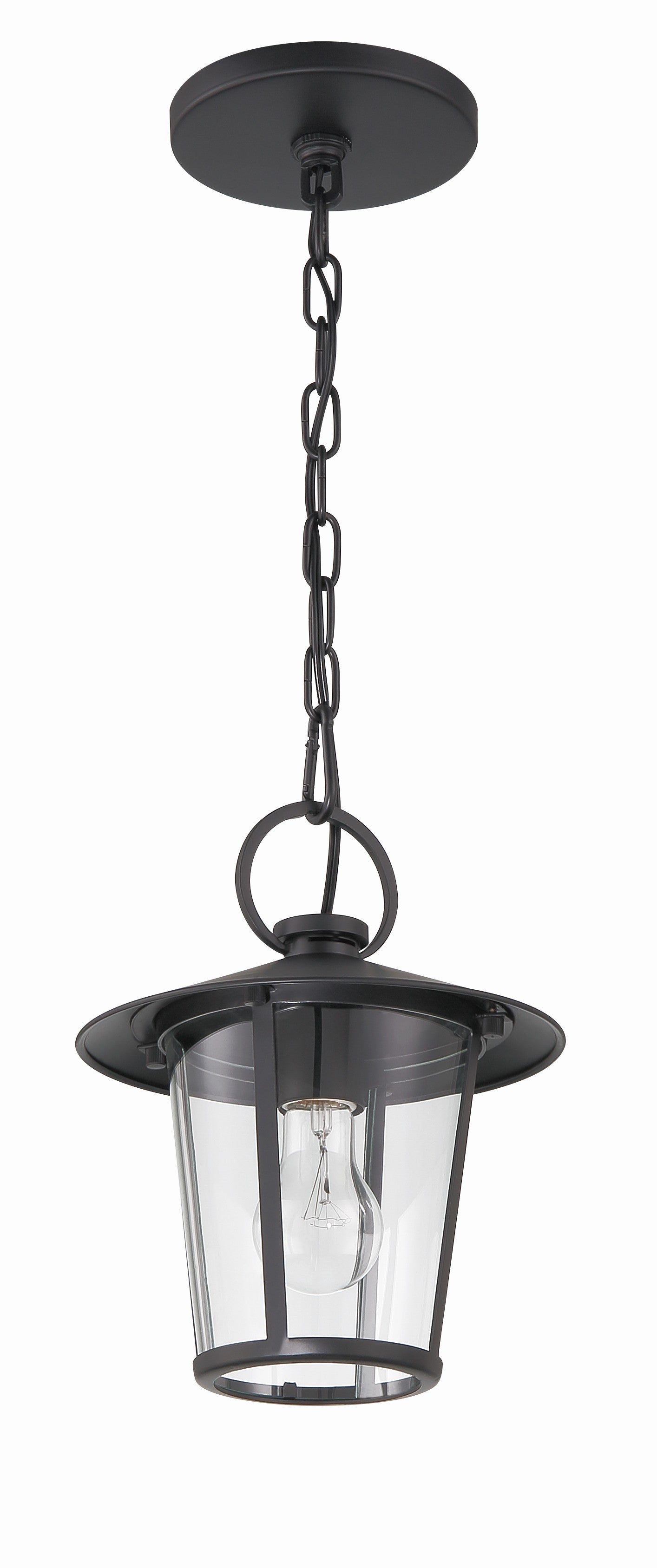 Crystorama Andover AND-9203-CL-MK – 9 Inch – 1 Light – Outdoor – Matte Black – Wet Rated
