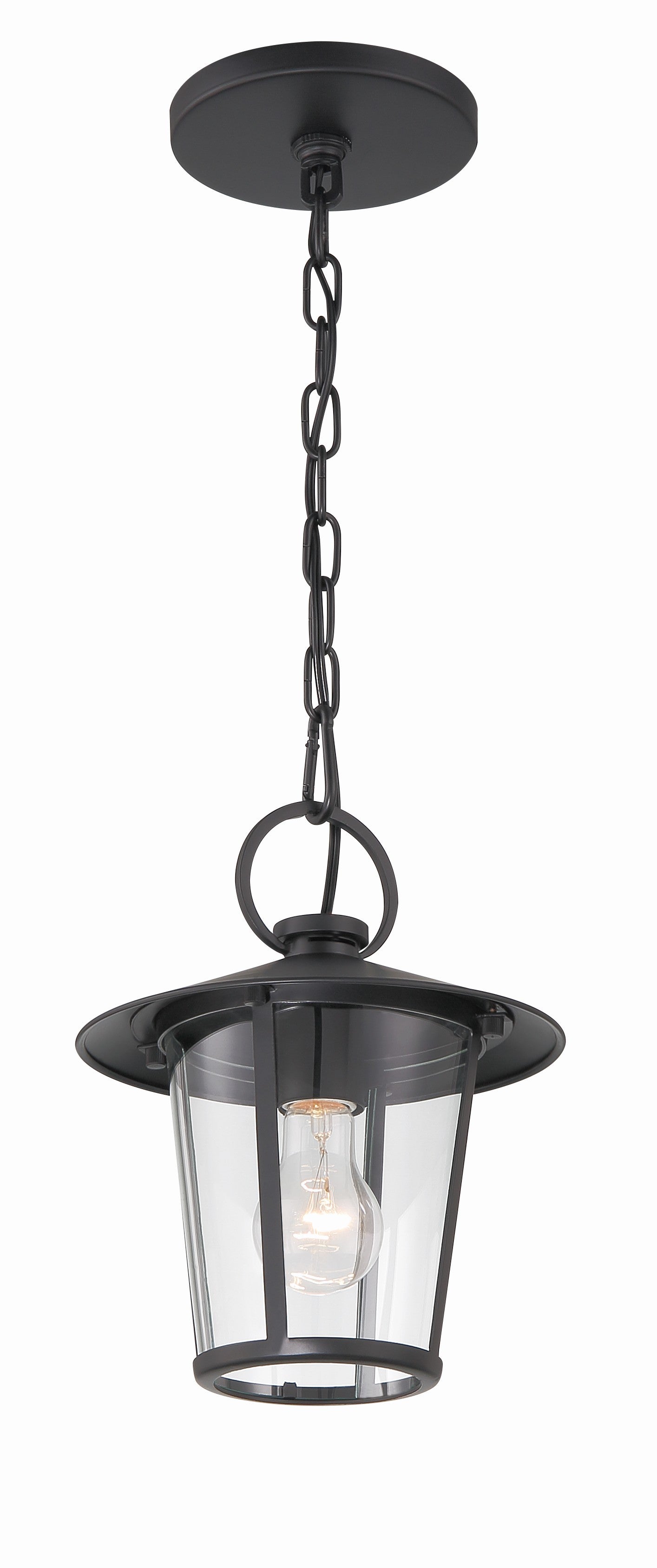 Crystorama Andover AND-9203-CL-MK – 9 Inch – 1 Light – Outdoor – Matte Black – Wet Rated