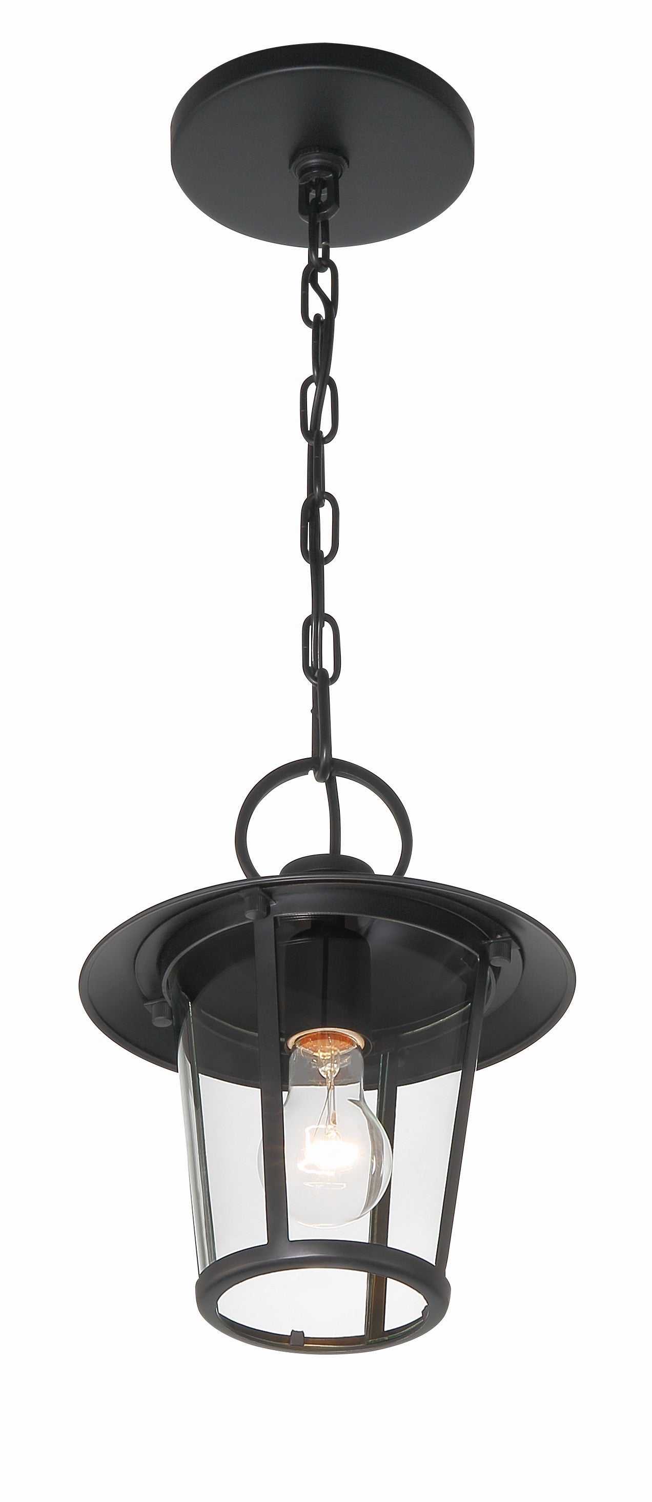 Crystorama Andover AND-9203-CL-MK – 9 Inch – 1 Light – Outdoor – Matte Black – Wet Rated