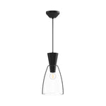 Arlo 7-in Clear Glass/Matte Black 1 Light Pendant