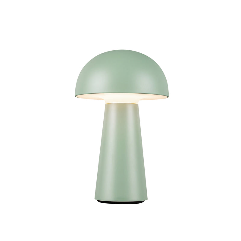 Asher 5-in Sage Green LED Table Lamp Rechargeable, Portable, Cordless