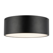 Brisbane 12-in Matte Black 2 Lights Flush Mount