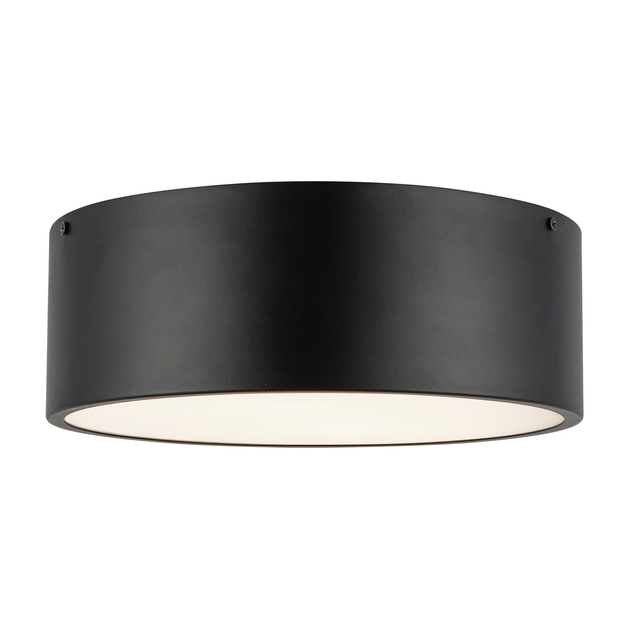 Brisbane 12-in Matte Black 2 Lights Flush Mount