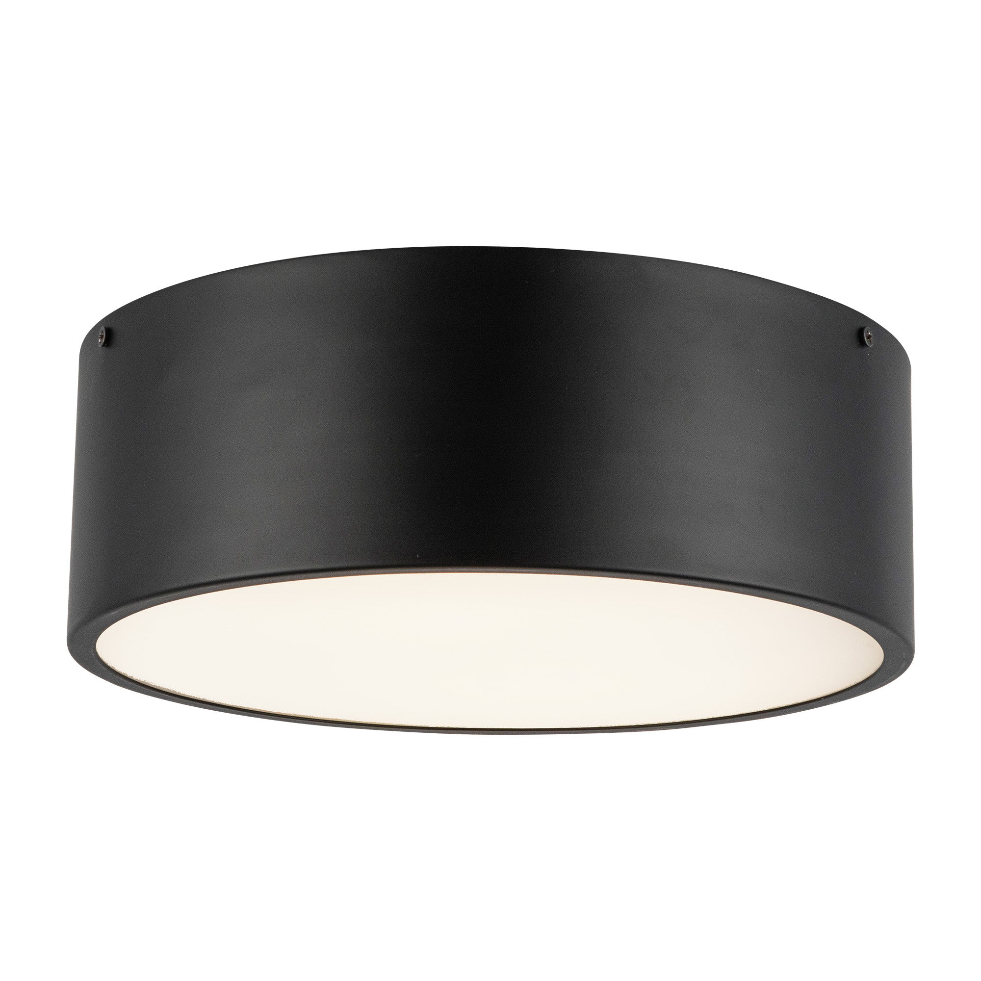 Brisbane 12-in Matte Black 2 Lights Flush Mount