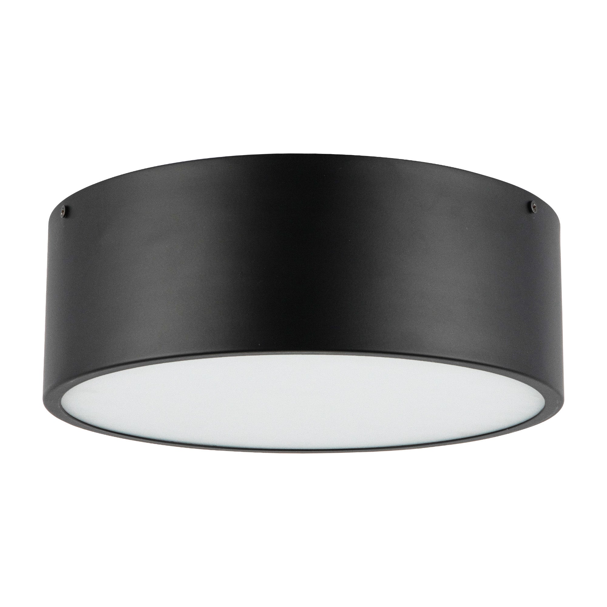 Brisbane 12-in Matte Black 2 Lights Flush Mount