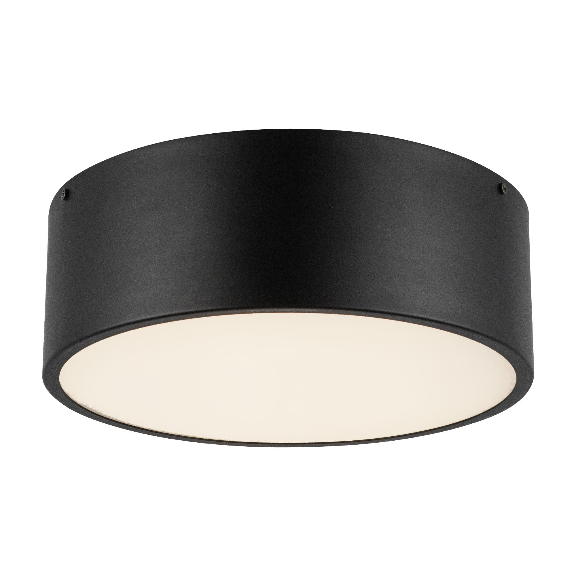 Brisbane 12-in Matte Black 2 Lights Flush Mount
