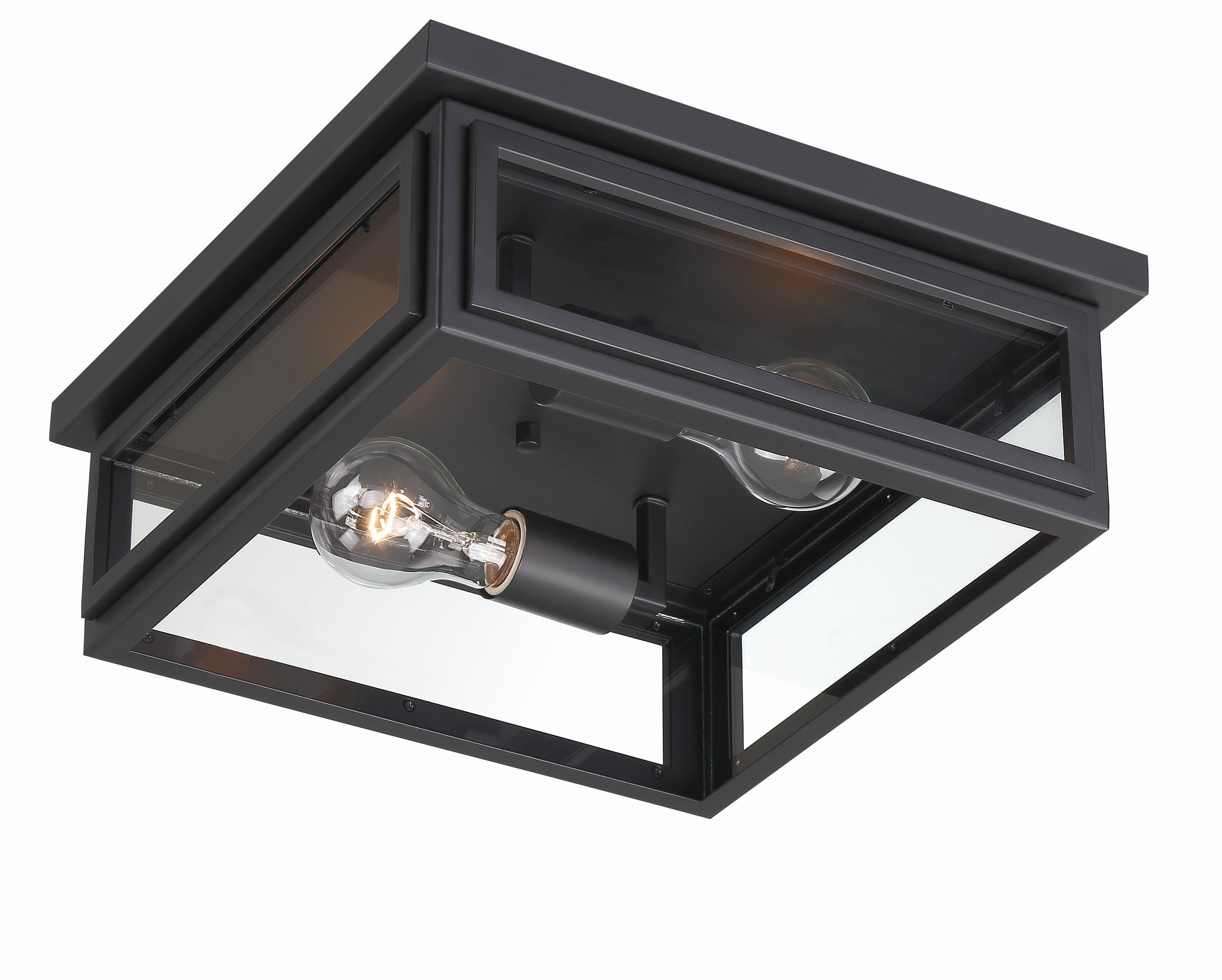 Crystorama Byron BYR-80100-MK – 12.75 Inch – 2 Light – Outdoor – Matte Black – Wet Rated