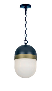 Crystorama Capsule CAP-8507-MK-TG – 8 Inch – 1 Light – Outdoor – Matte Black + Textured Gold – Wet Rated