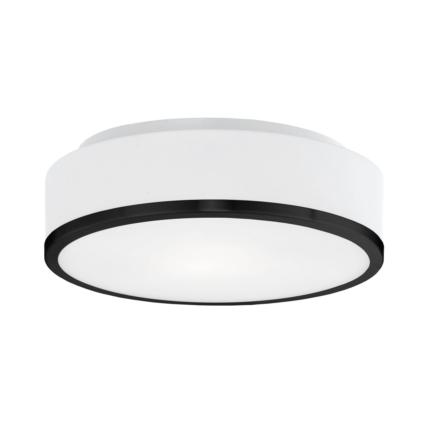 Charlie 12-in Black LED Flush Mount