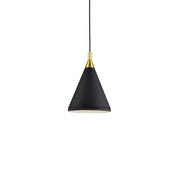 Dorothy 10-in Black With Gold Detail 1 Light Pendant