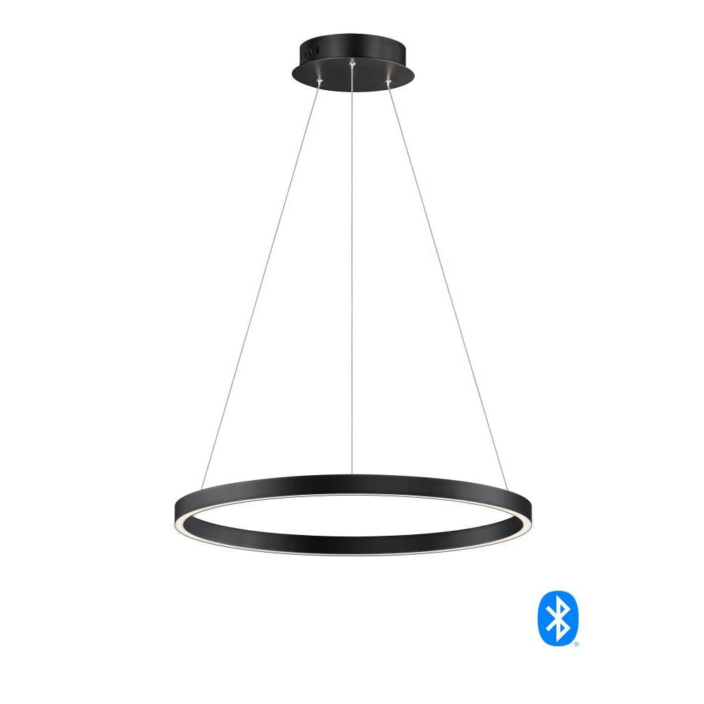 23.5 Inch Pendant – Black