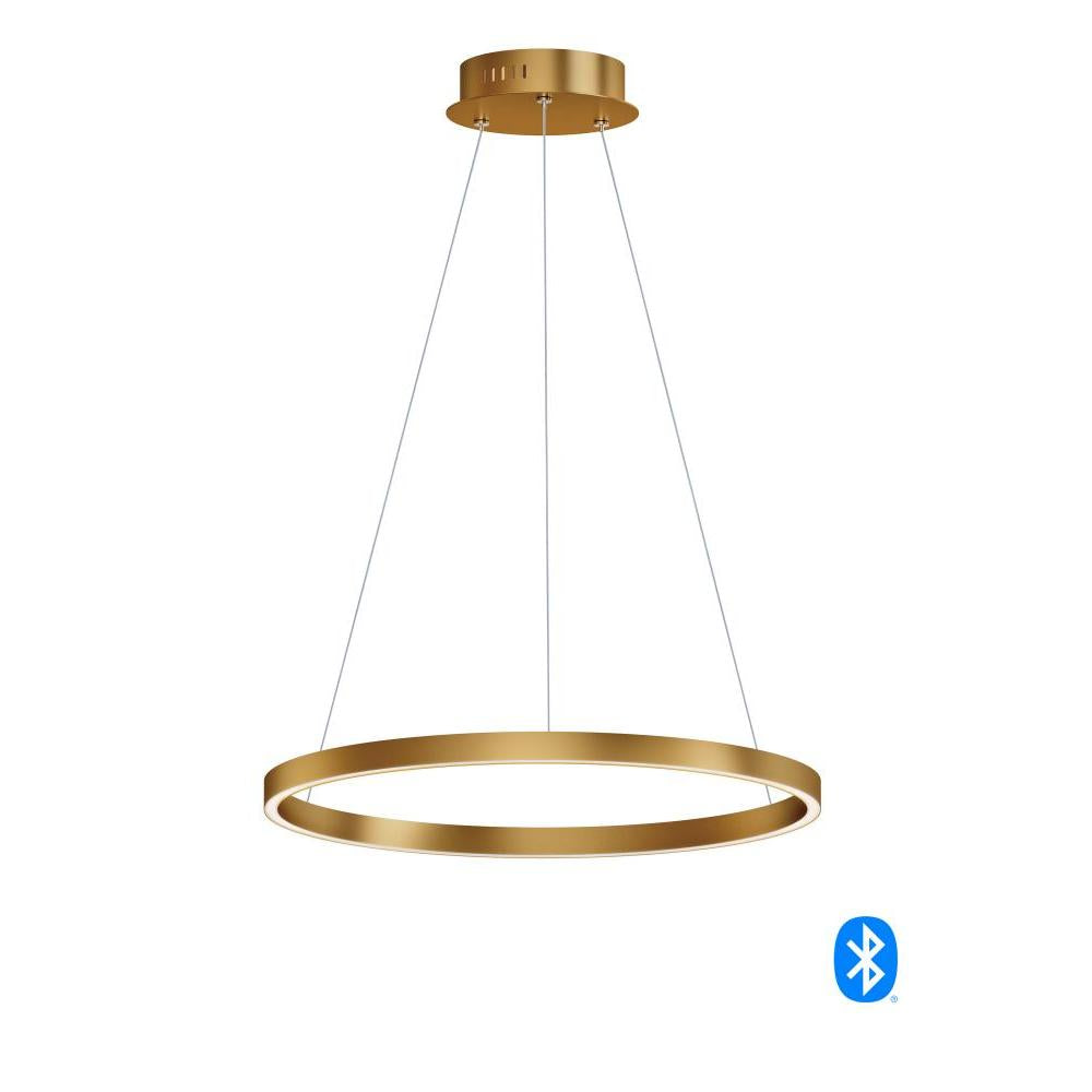 23.5 Inch Pendant – Gold