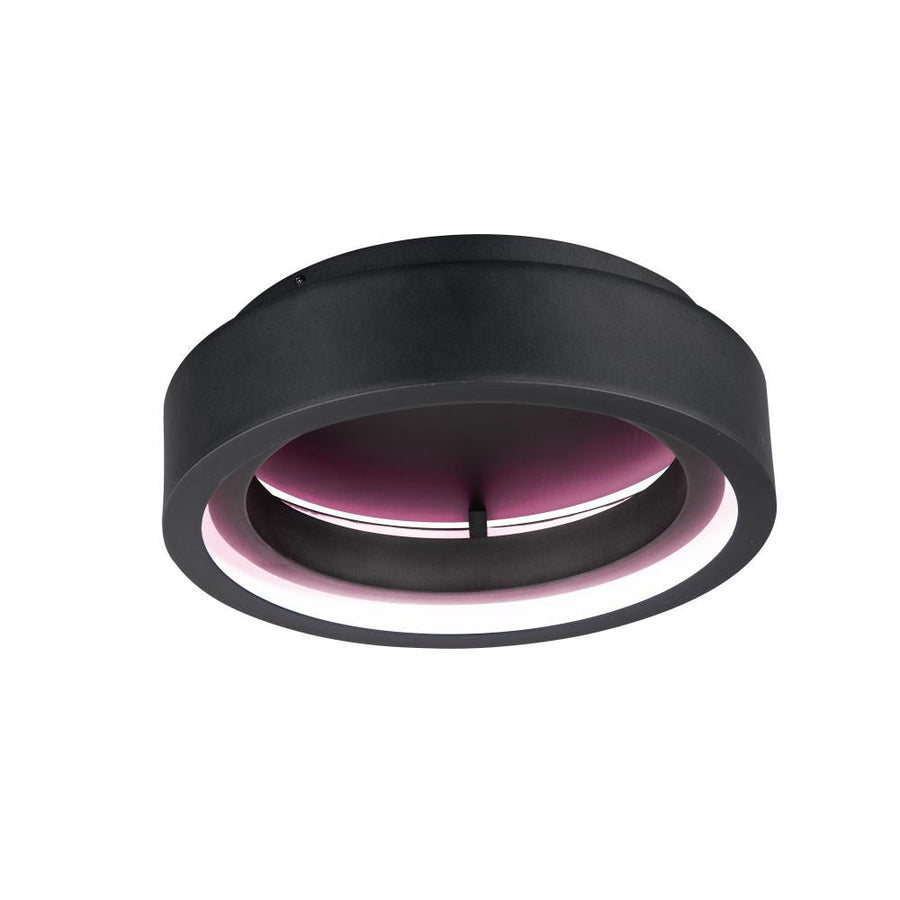 17.75 Inch Smart Light – Black