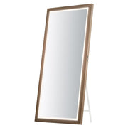 Sawyer-LED Mirror light