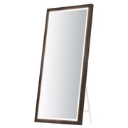 Sawyer-LED Mirror light
