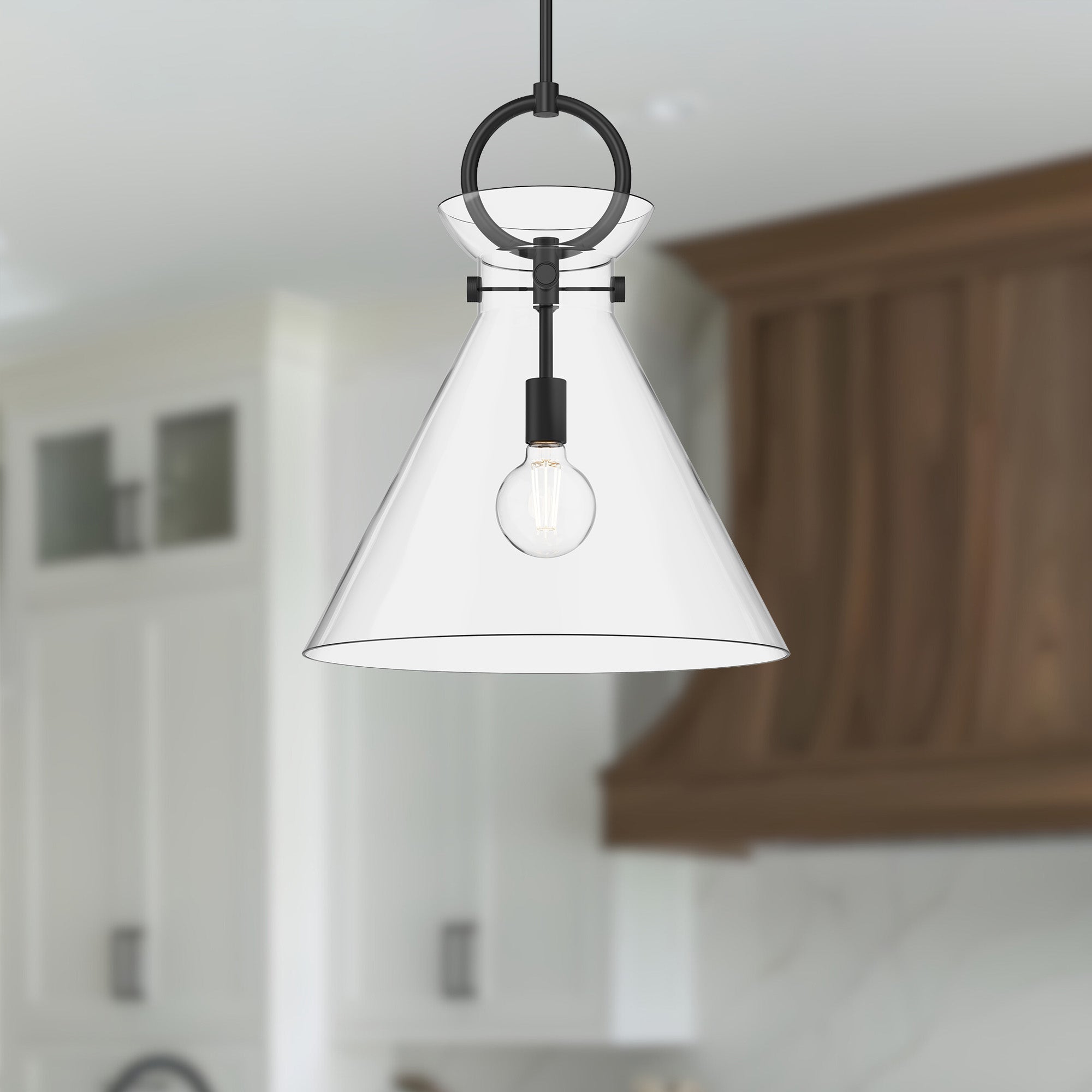 Emerson 18-in Matte Black/Clear Glass 1 Light Pendant