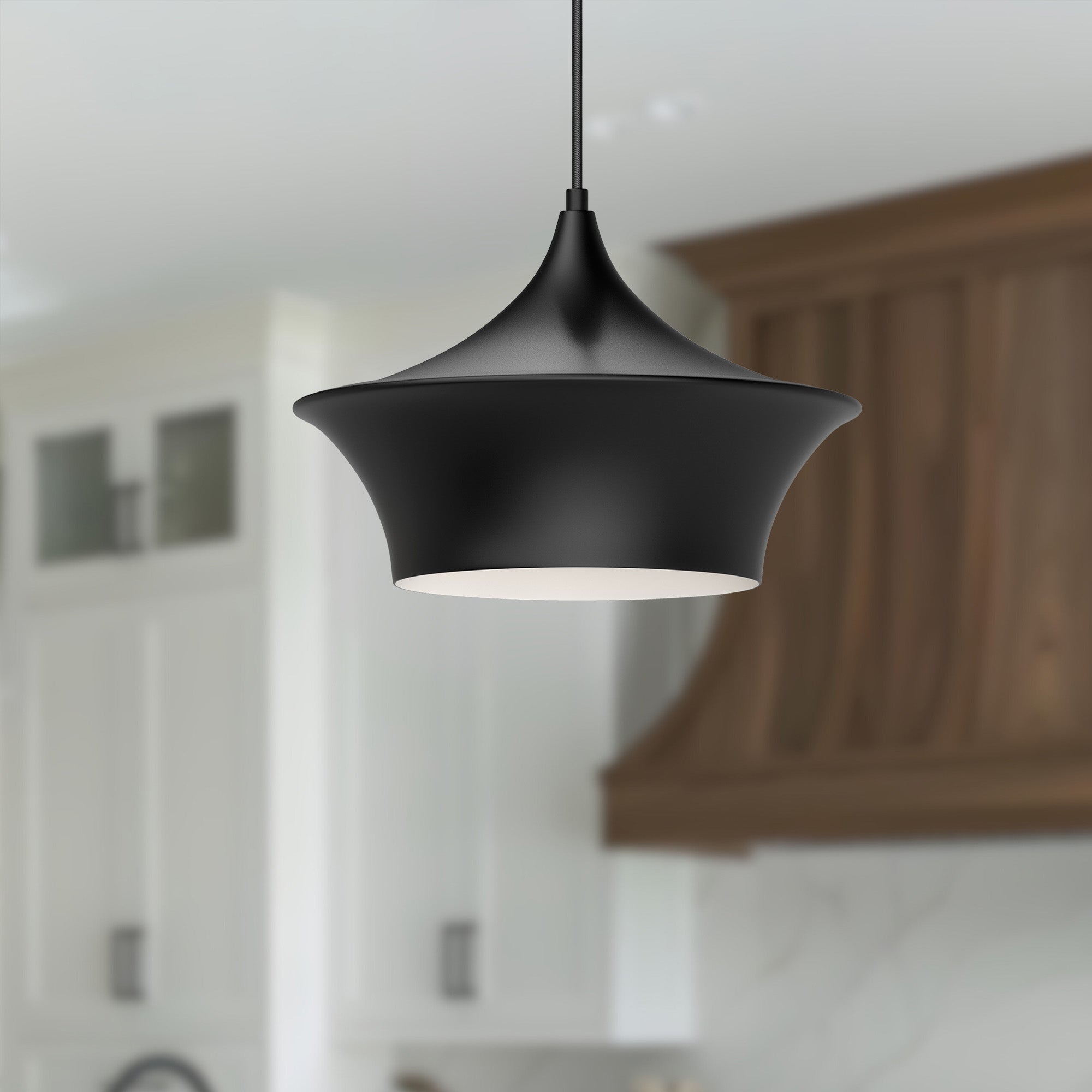 Emiko 12-in Matte Black 1 Light Pendant