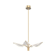 Flora 5 Head Natural Brass LED Pendant