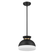 Crystorama Gidget GID-4005-MK-VG – 10.25 Inch – 1 Light – Pendant Light – Matte Black + Vibrant Gold – Damp Rated