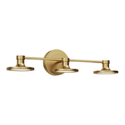 Issa 21-in Brushed Gold LED Vanity Light