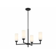 4-Light Chandelier in Matte Black