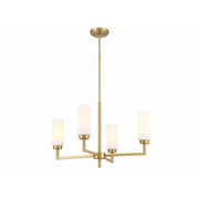 4-Light Chandelier in Natural Brass