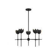 5-Light Chandelier in Matte Black