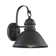 1-Light Outdoor Wall Lantern in Matte Black