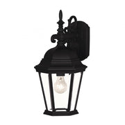 1-Light Outdoor Wall Lantern in Black