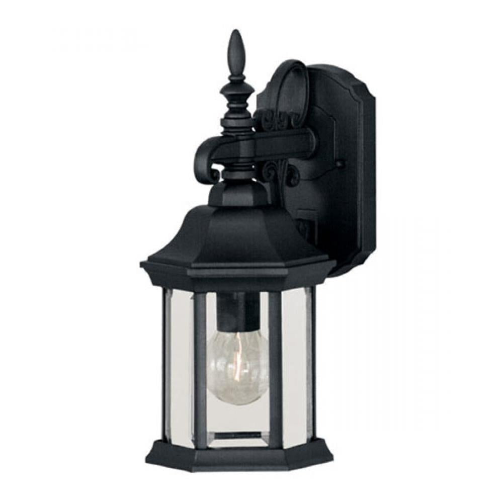 1-Light Outdoor Wall Lantern in Black