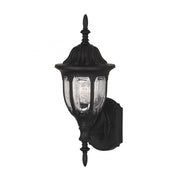 1-Light Outdoor Wall Lantern in Black