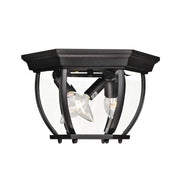 3-Light Outdoor Ceiling Light in Black