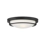 2-Light Ceiling Light in Matte Black
