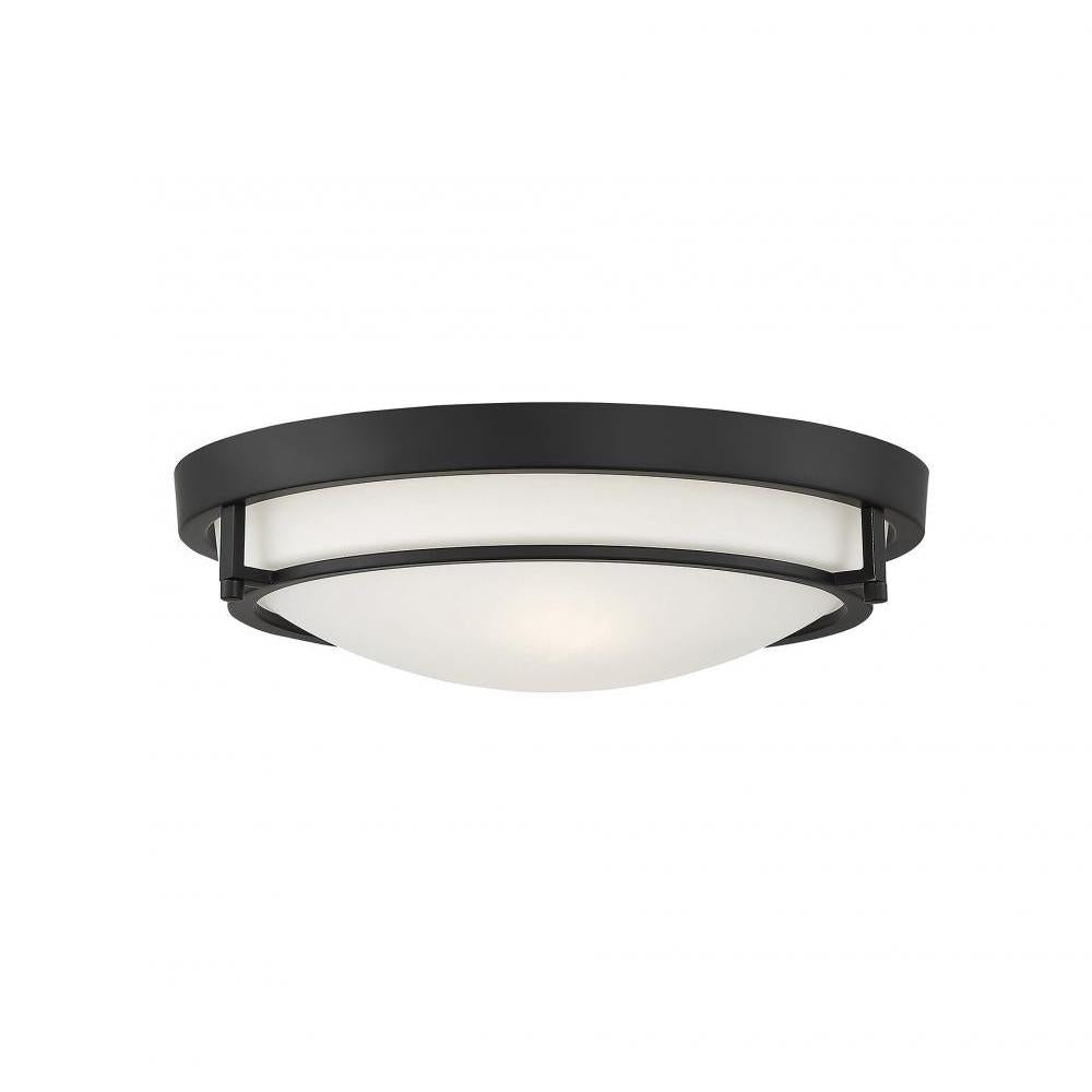 2-Light Ceiling Light in Matte Black