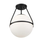 1-Light Ceiling Light in Matte Black