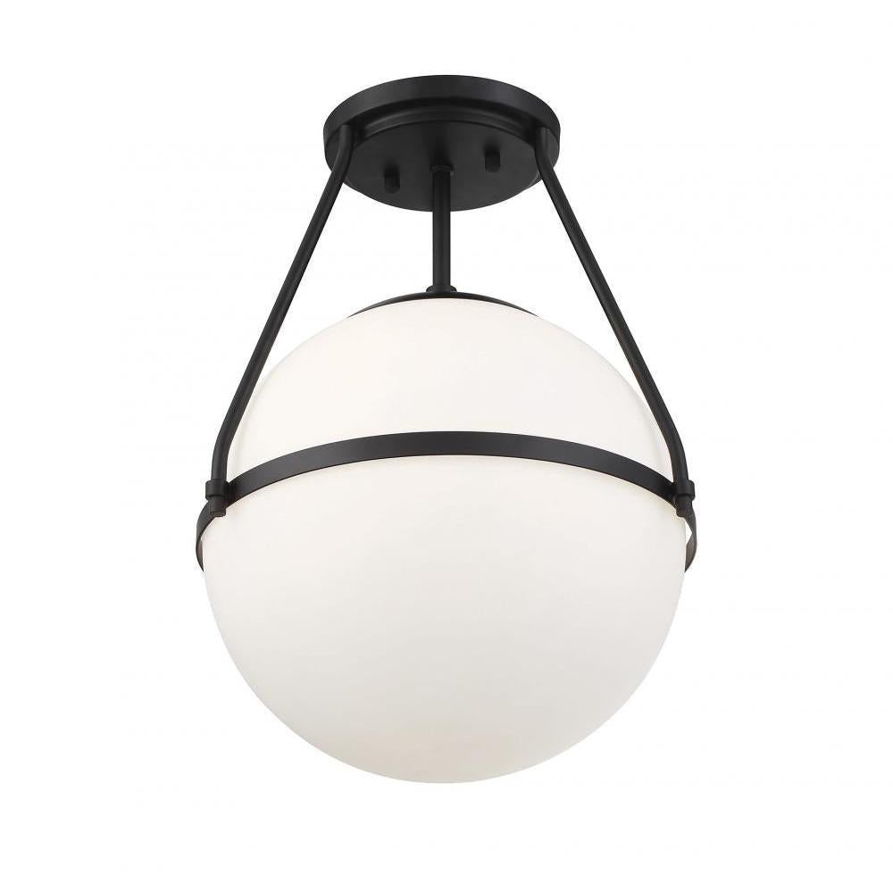 1-Light Ceiling Light in Matte Black