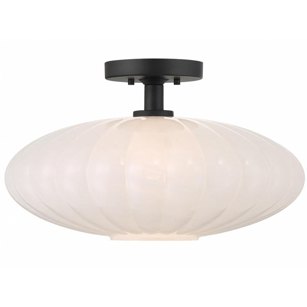 1-Light Ceiling Light in Matte Black
