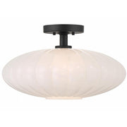 1-Light Ceiling Light in Matte Black