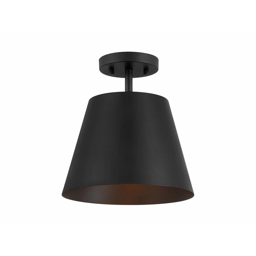 1-Light Ceiling Light in Matte Black