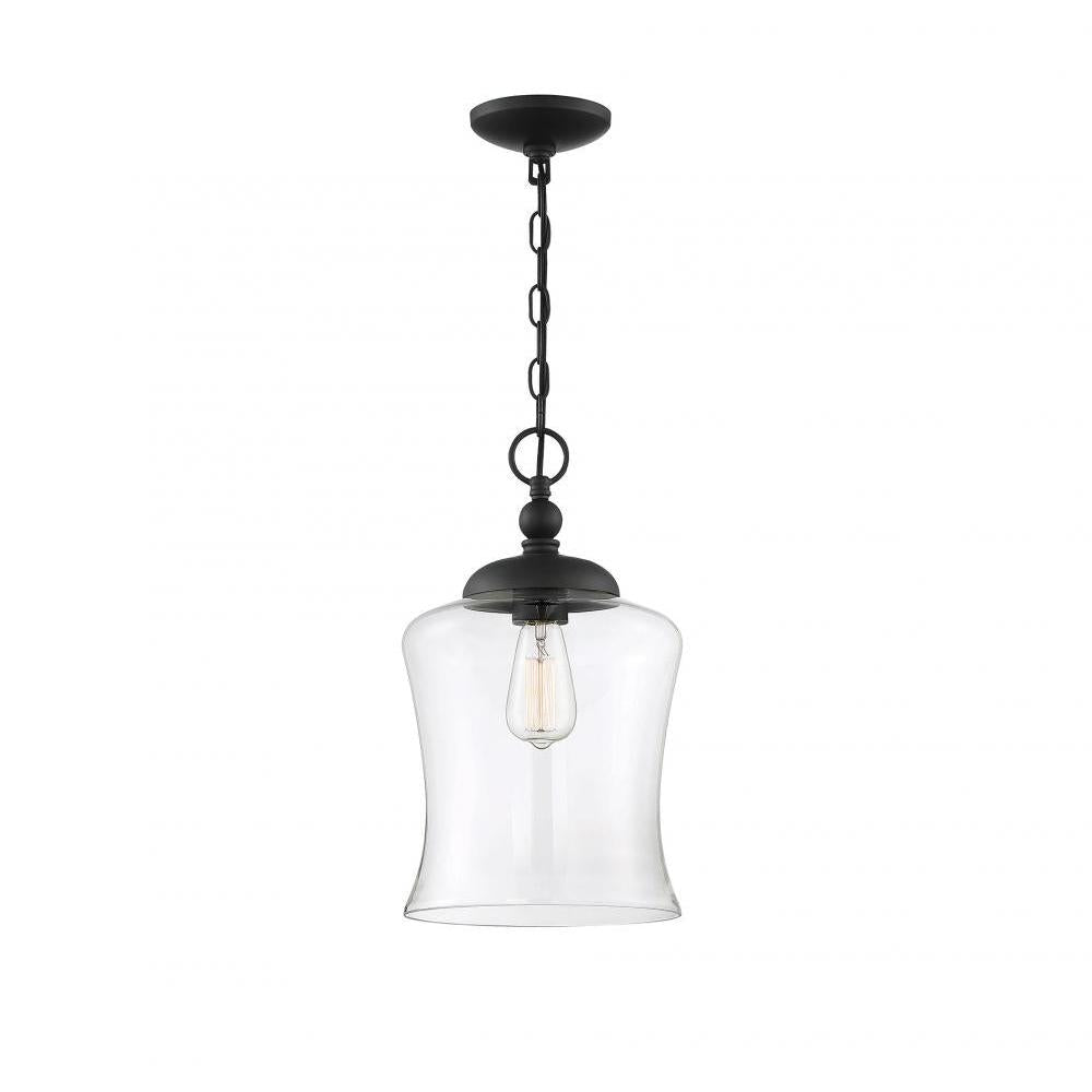 1-Light Pendant in Matte Black