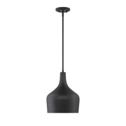 1-Light Pendant in Matte Black
